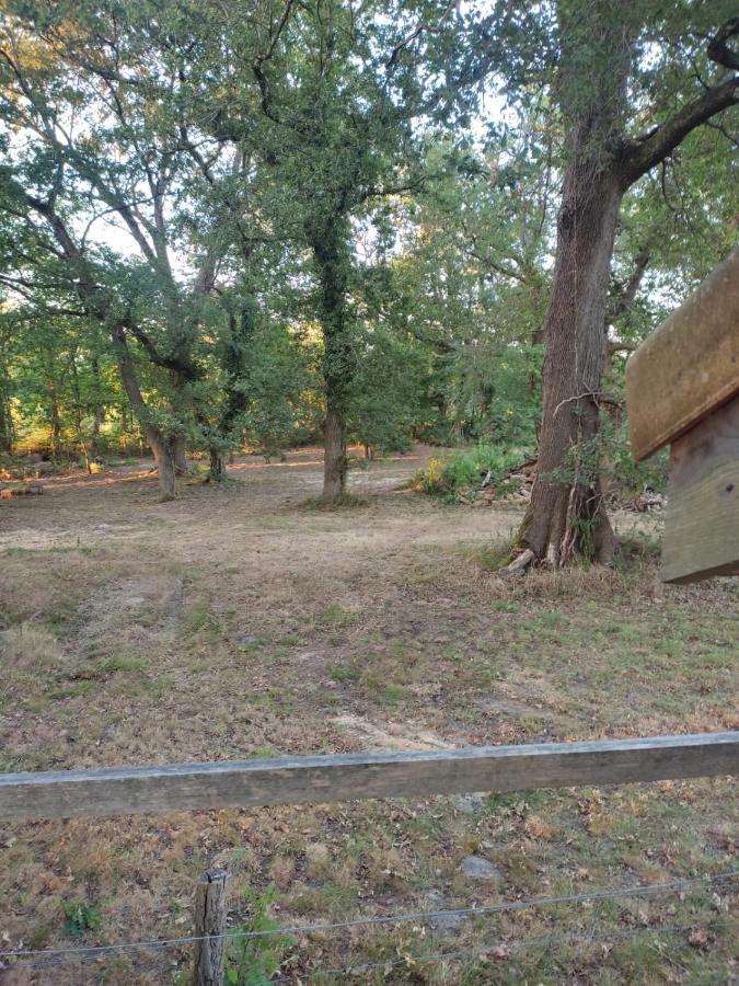 Maisonnette Vue Sur Foret Campagne  المظهر الخارجي الصورة