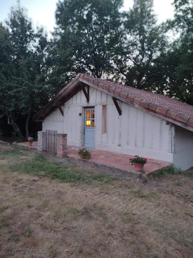 Maisonnette Vue Sur Foret Campagne  المظهر الخارجي الصورة